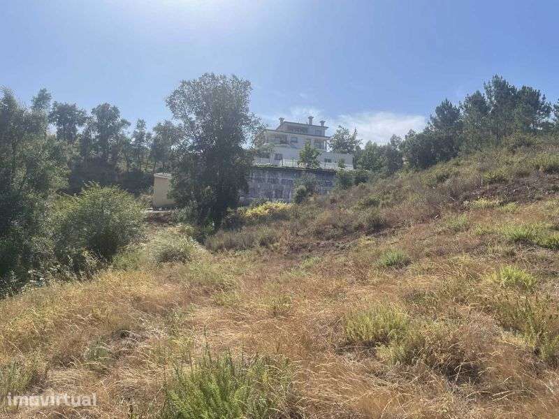 LOTE DE TERRENO - Flor da Rosa - Almalaguês - Coimbra - Grande imagem: 4/6