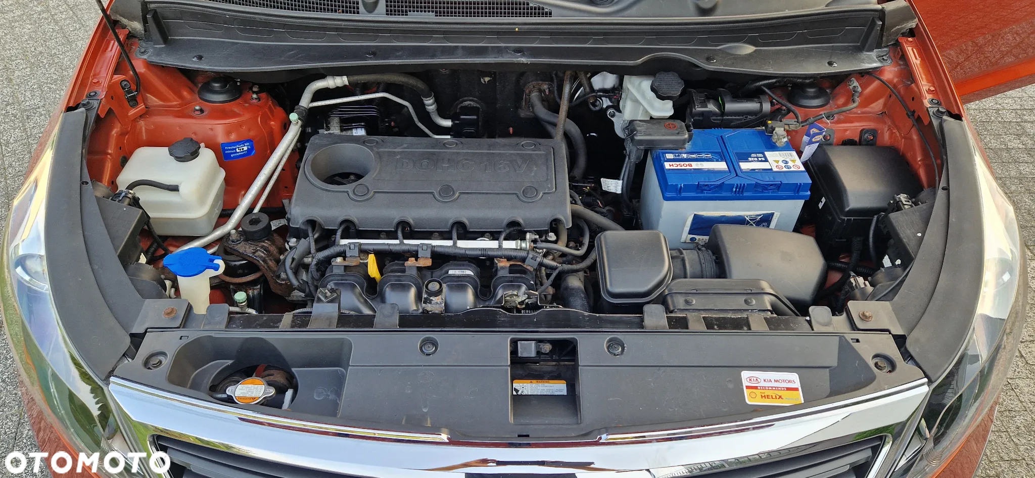 Kia Sportage - 29