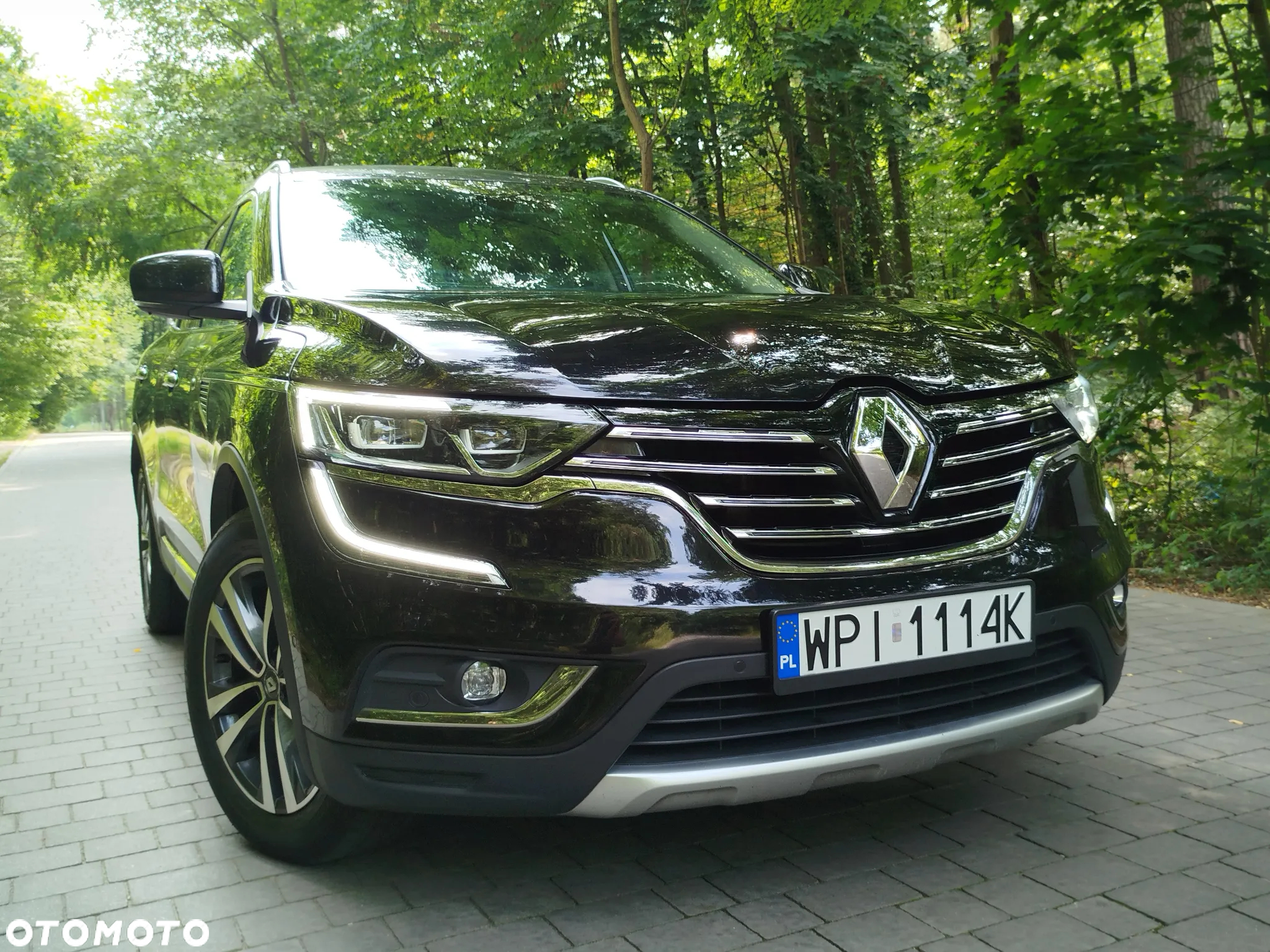 Renault Koleos 1.6 dCi Intens - 6