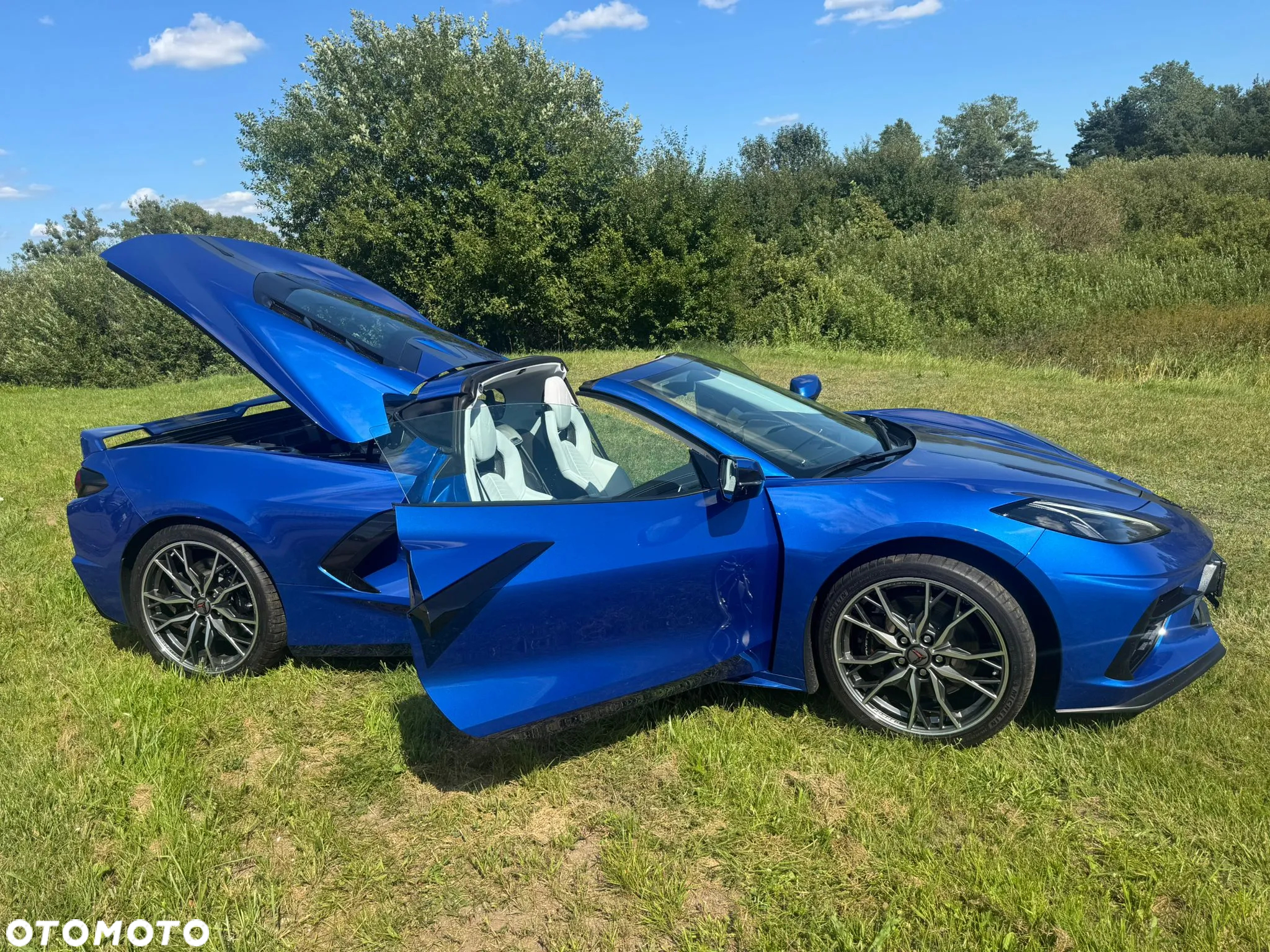 Chevrolet Corvette - 12