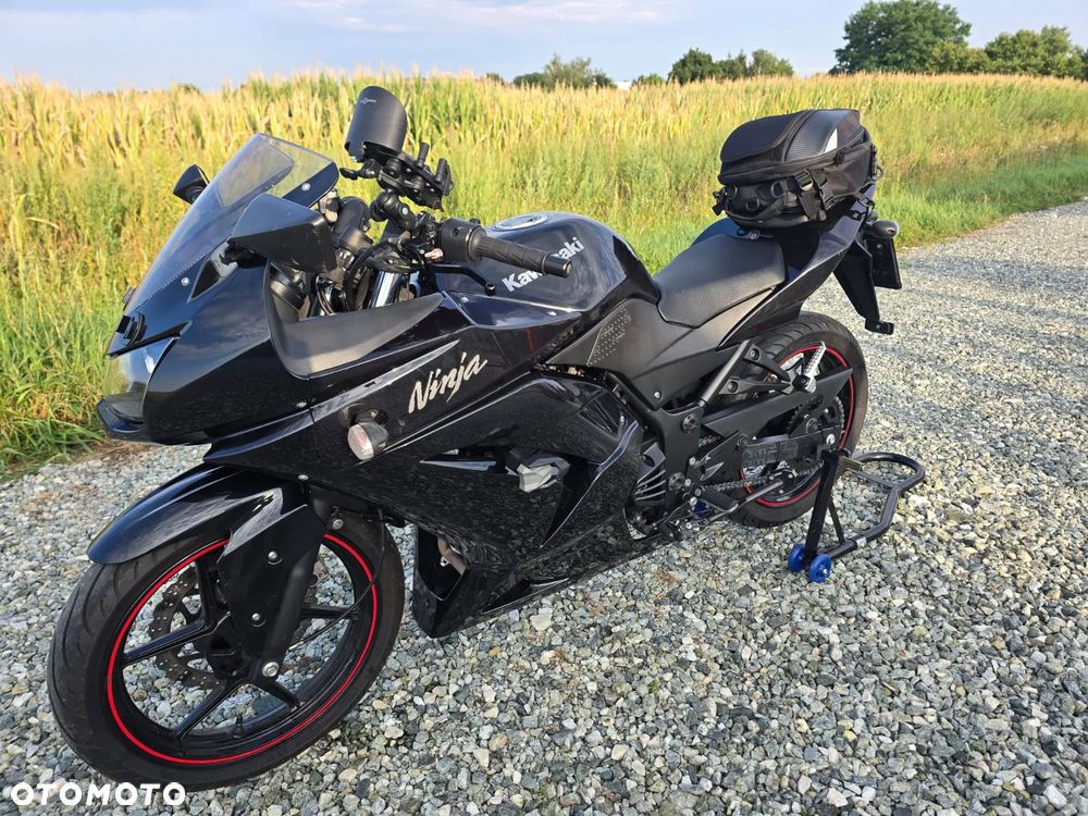 Kawasaki Ninja 250R - 3