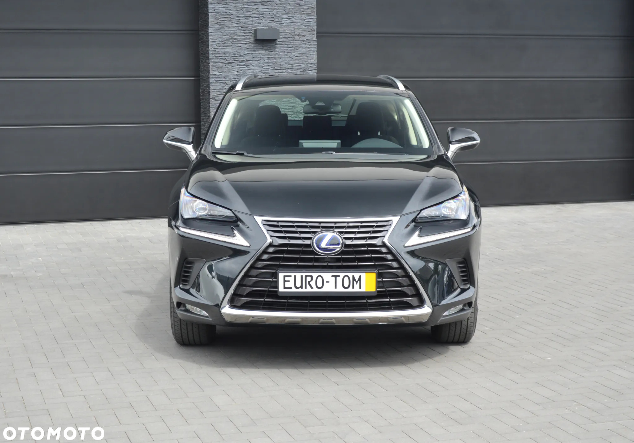 Lexus NX 300h - 11
