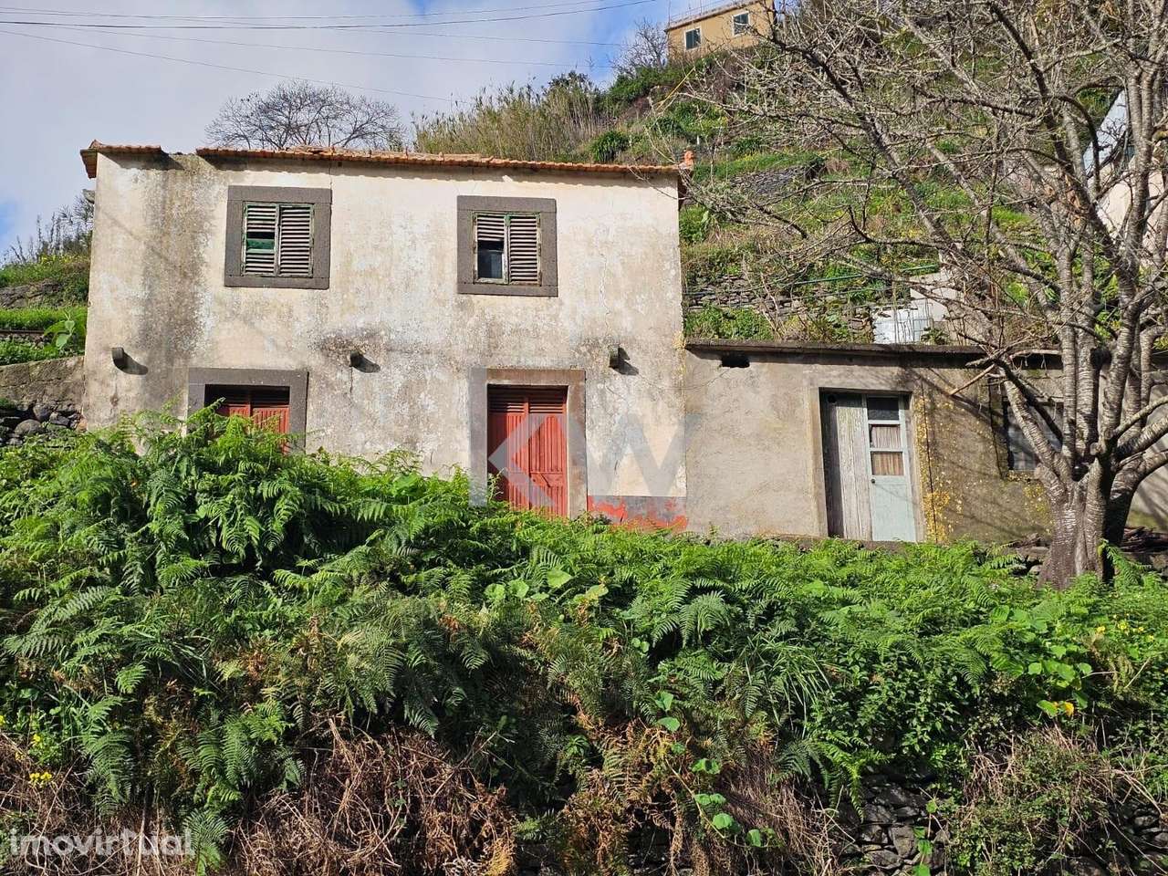 Moradia T2 para recuperar | Castelejo | Estreito de Câmara de Lobos - Grande imagem: 5/21