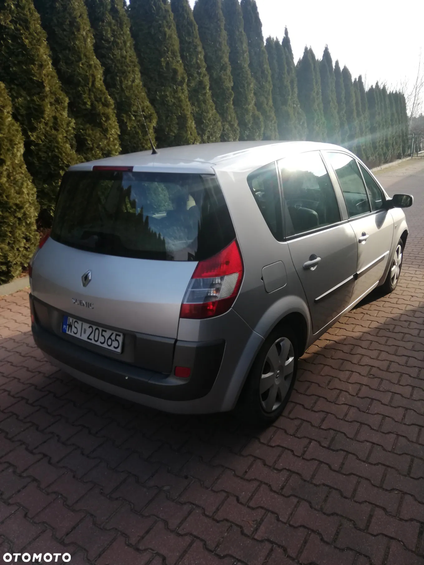 Renault Scenic 1.9 dCi Confort Authentique - 3
