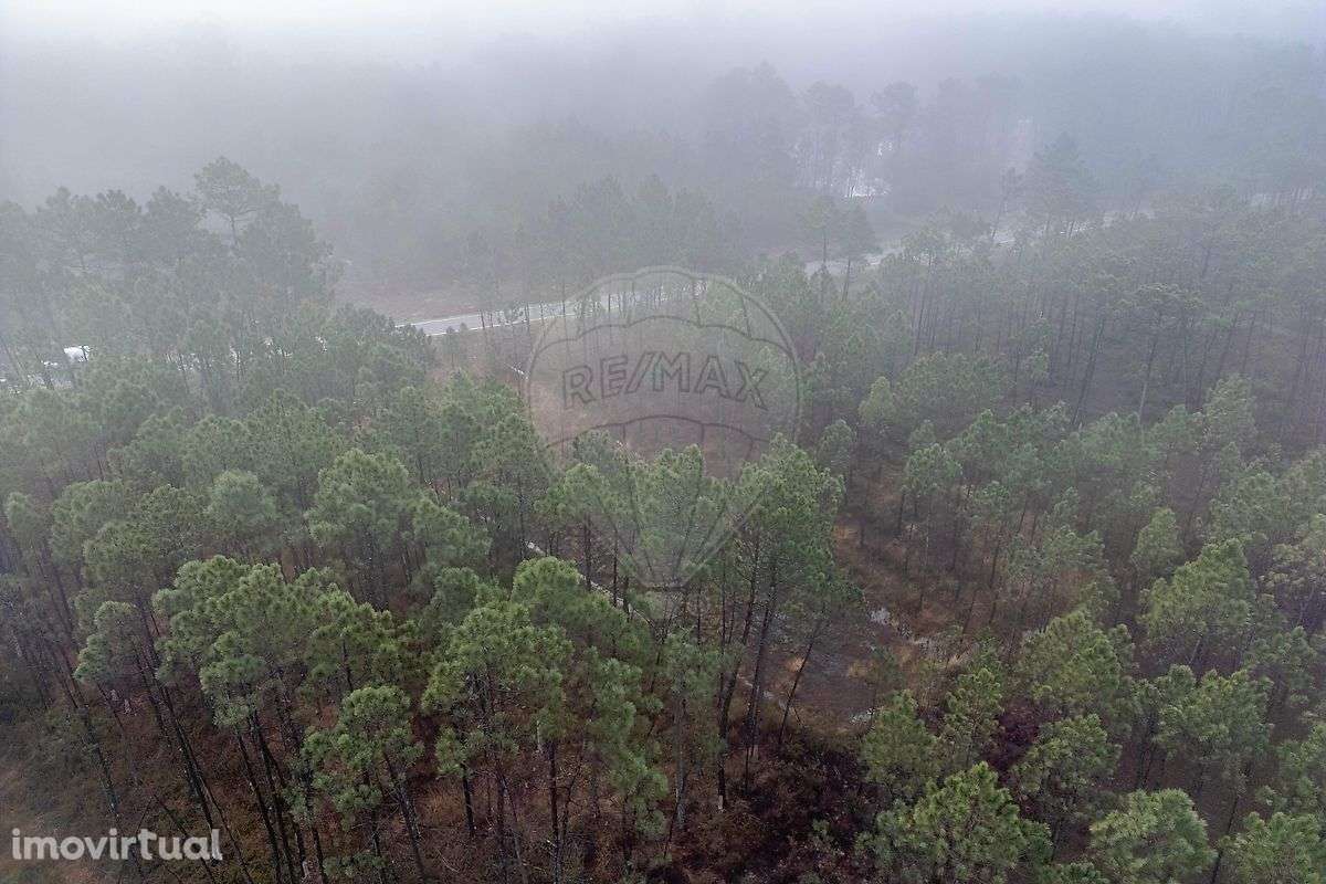 Terreno  para venda - Grande imagem: 3/11