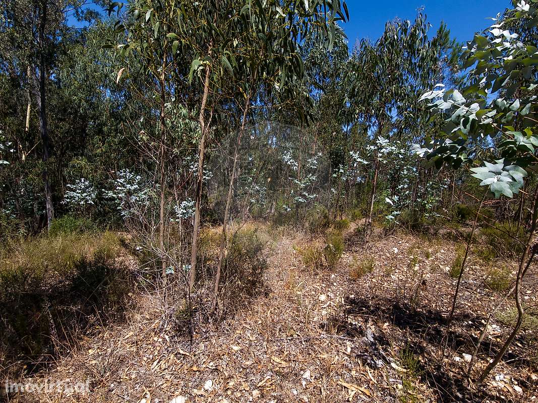 Terreno  para venda - Grande imagem: 4/6