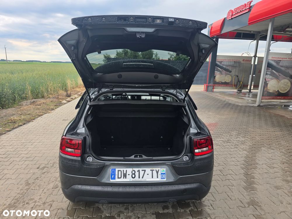Citroën C4 Cactus PureTech 82 Shine Edition - 28