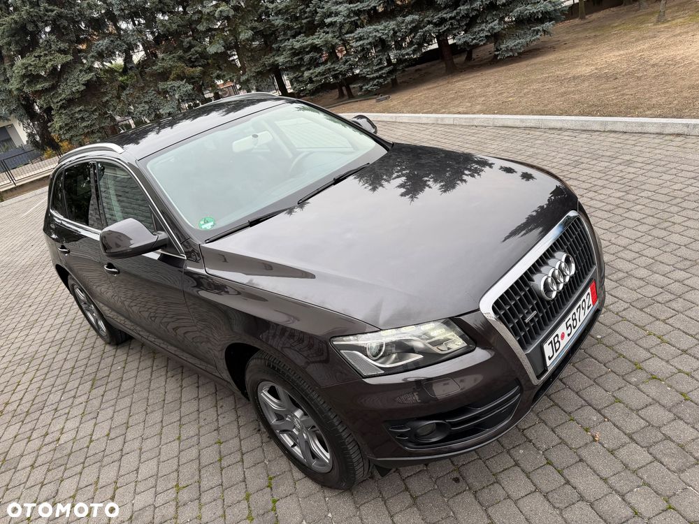 Audi Q5 2010 photo 5