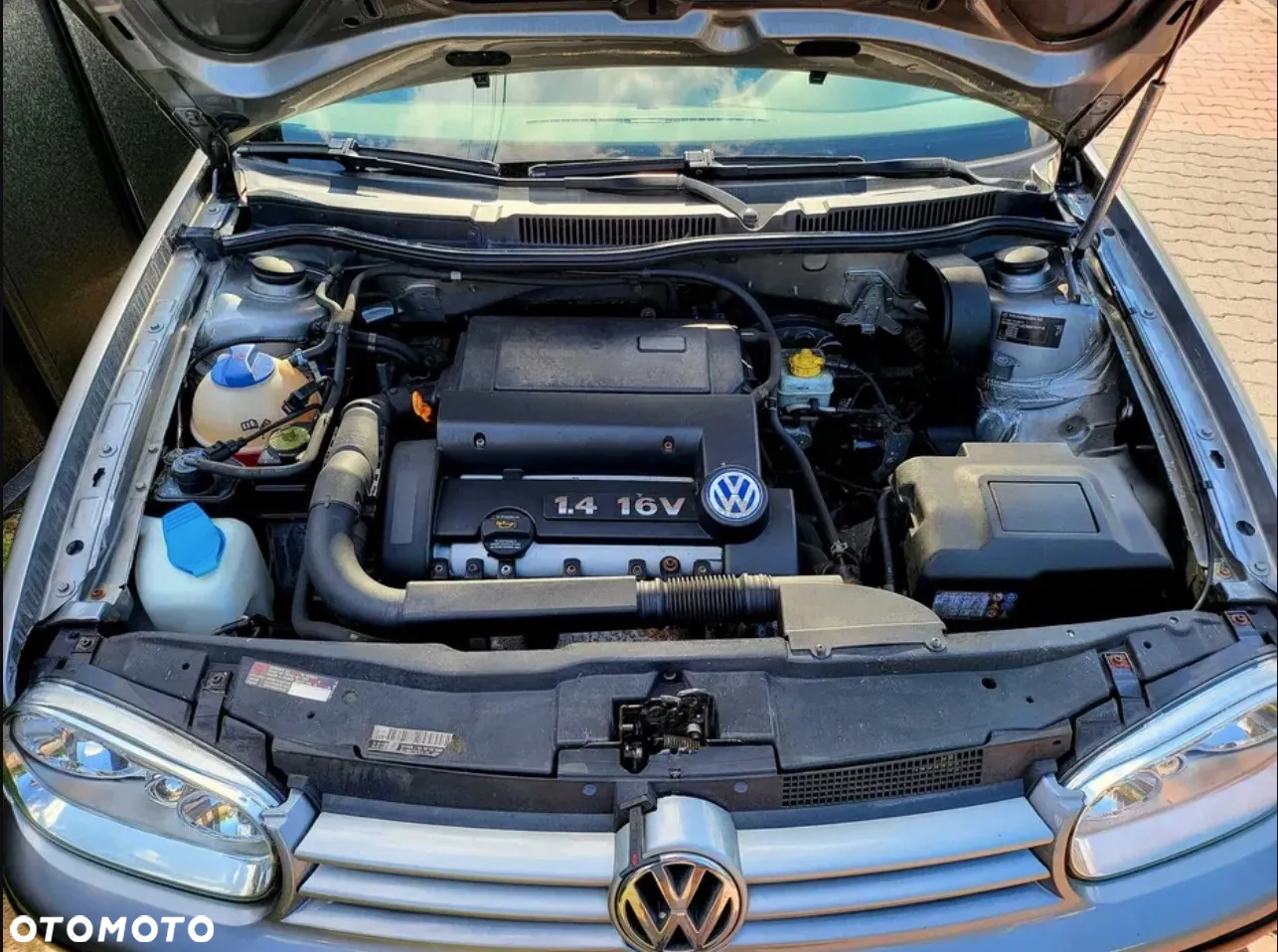 Volkswagen Golf IV 1.4 Q - 14