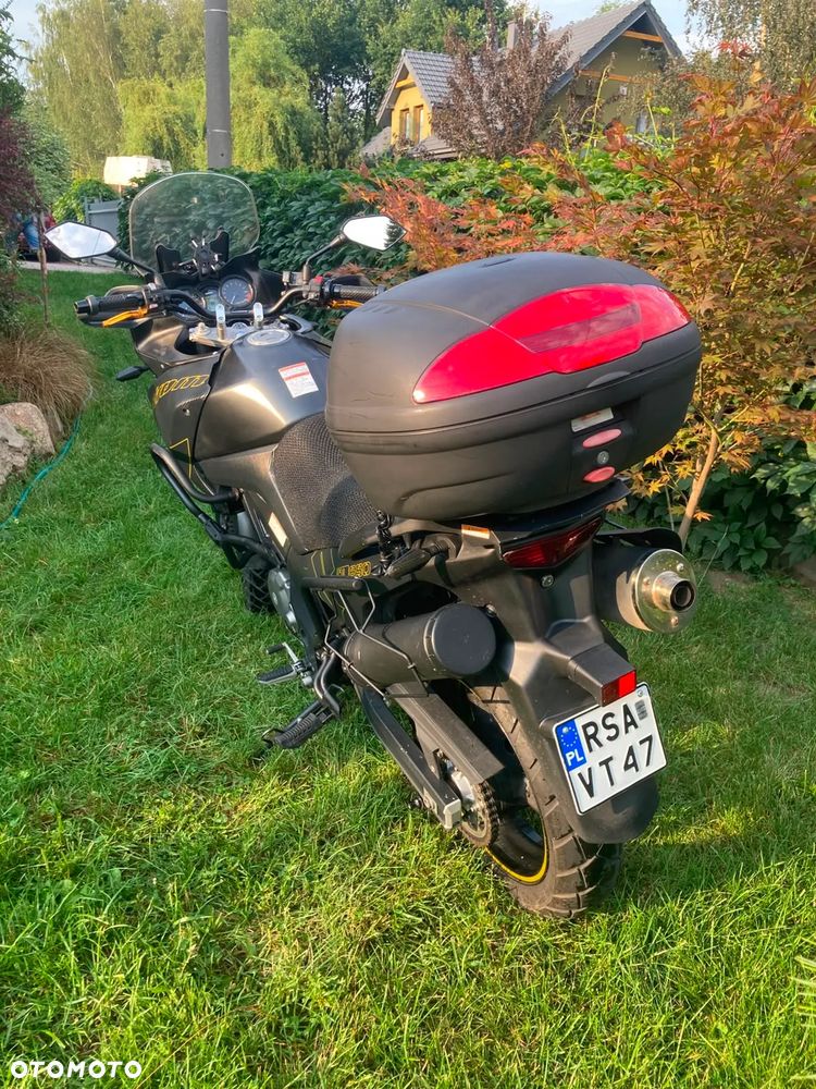 Suzuki DL - 5