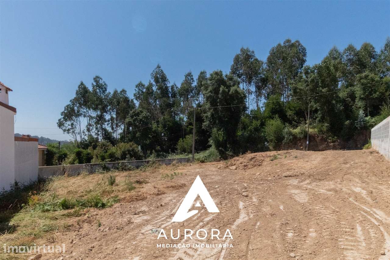 Terreno  Venda em Santa Maria da Feira, Travanca, Sanfins e Espargo,Sa - Grande imagem: 3/5