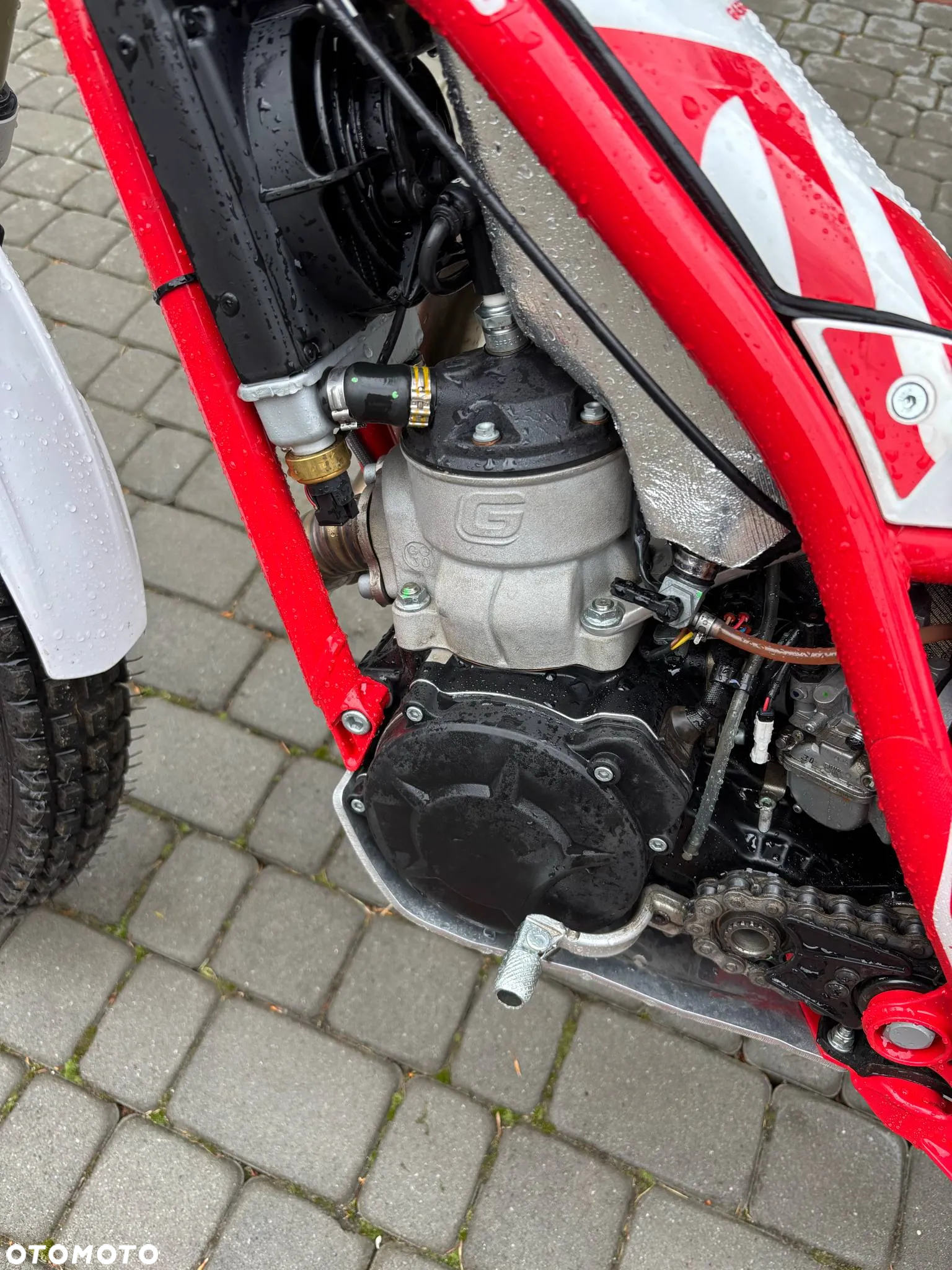 Gas Gas TXT - 6