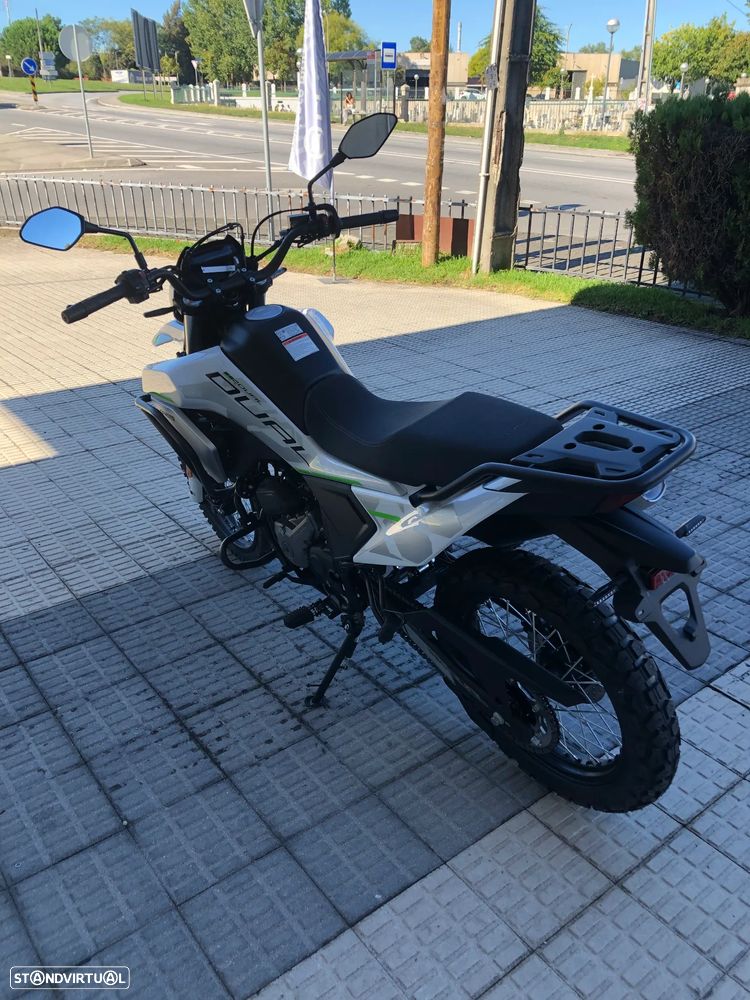 CF Moto 250 Dual 250 DUAL - 7