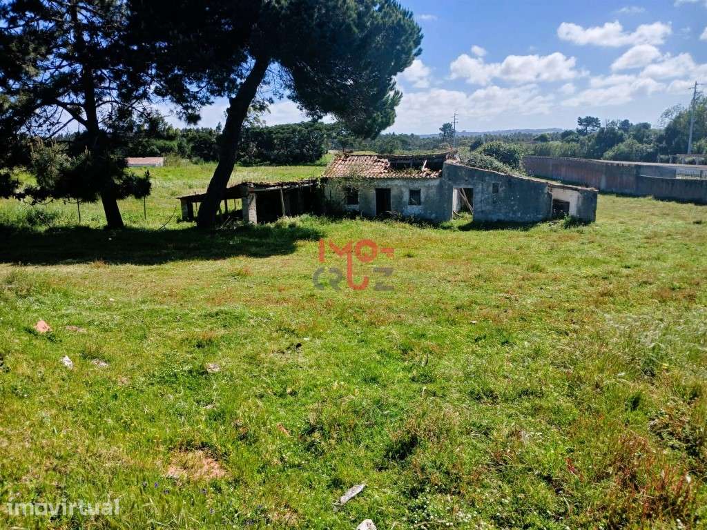 Moradia T3 para Recuperar na Serra do Bouro Terreno de 4.641 m² com... - Grande imagem: 3/39