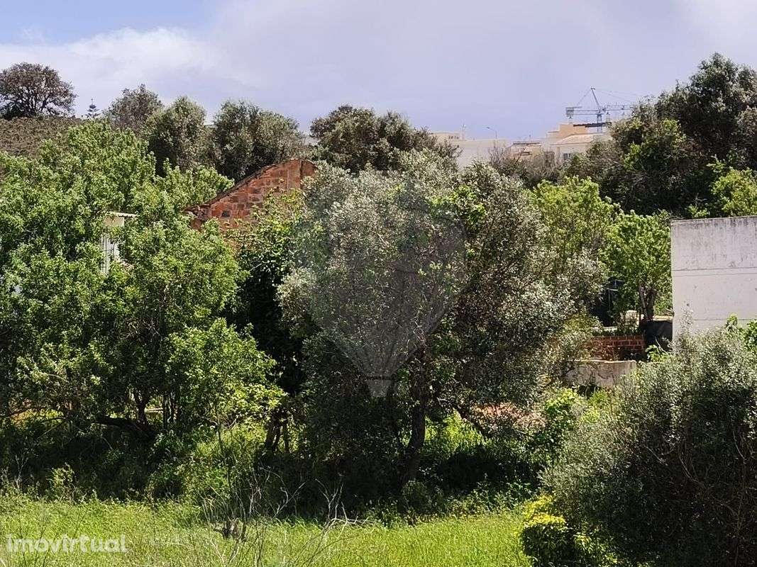 Quinta  para venda - Grande imagem: 2/23