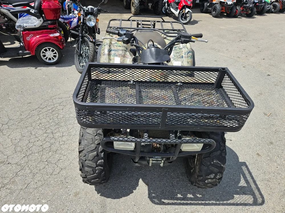 Kawasaki Brute Force - 8