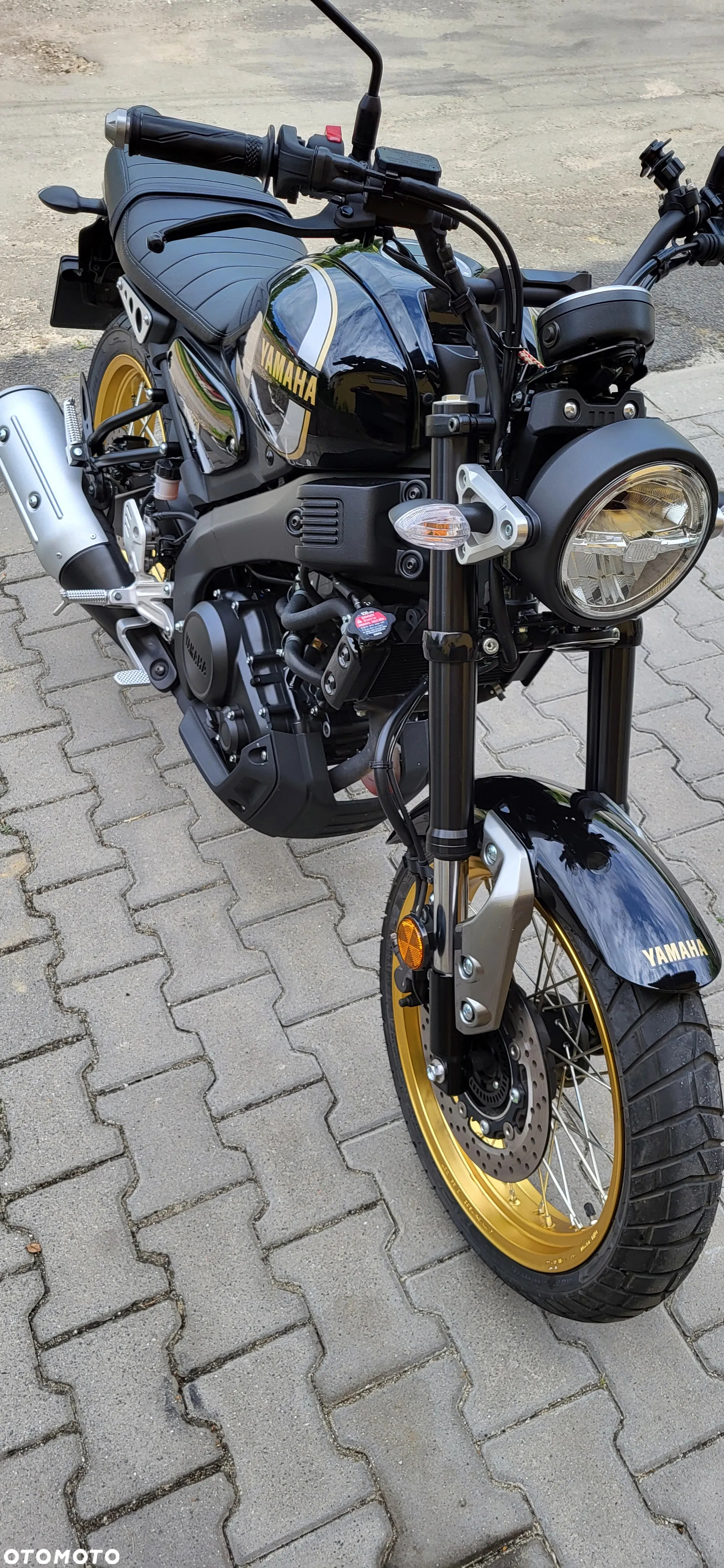 Yamaha XSR - 16