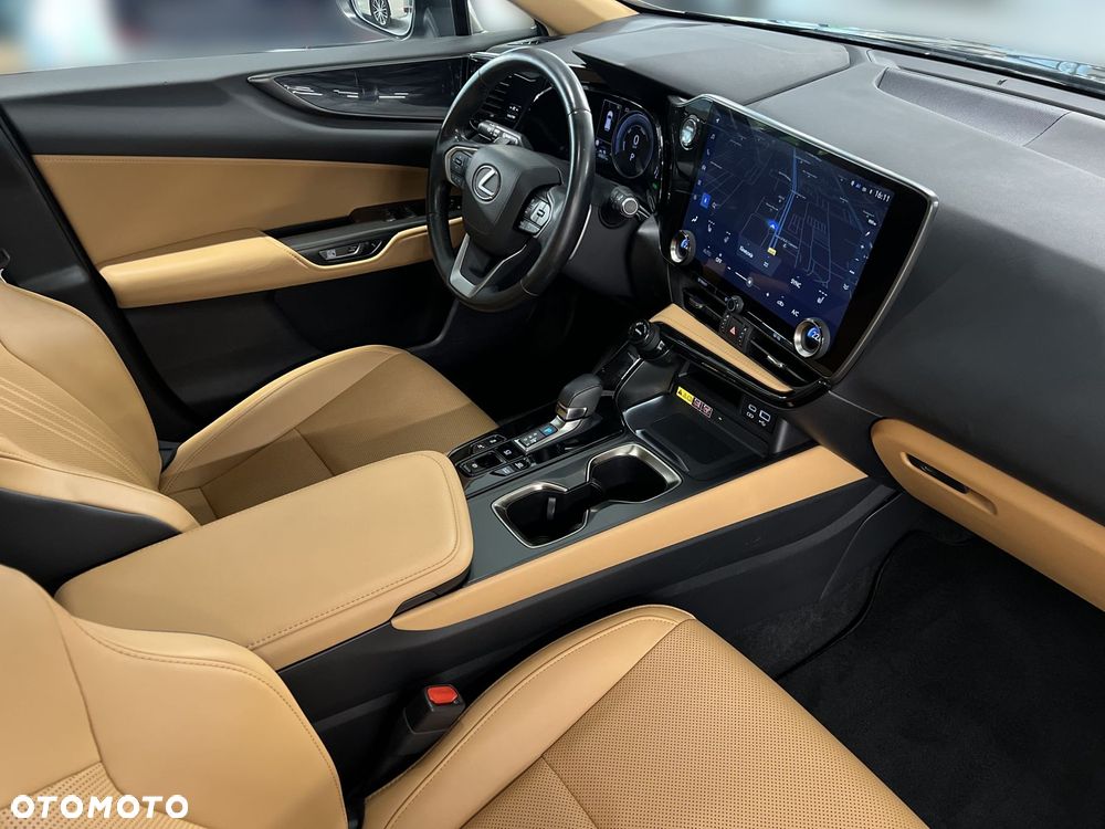 Lexus NX - 10