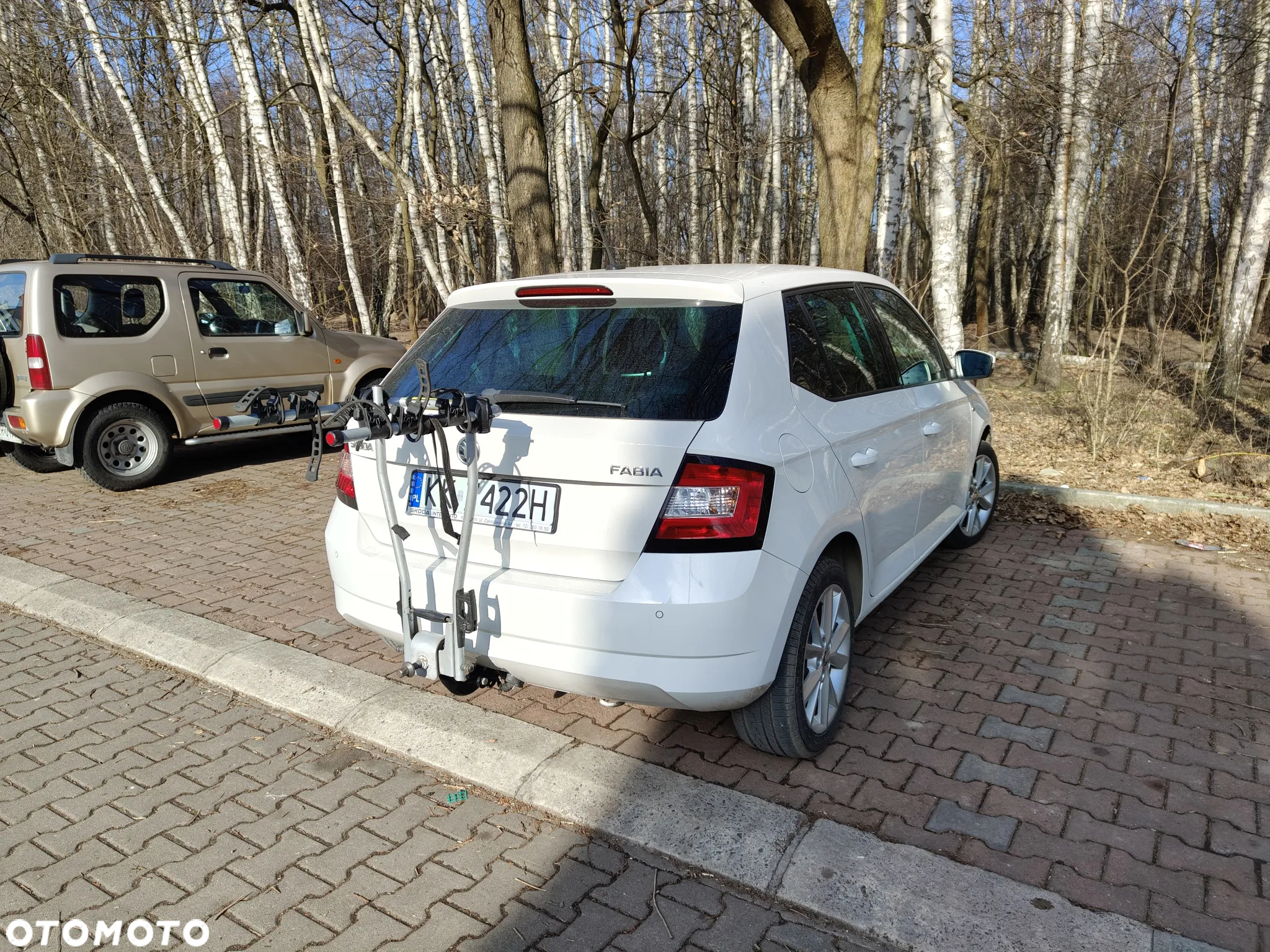 Skoda Fabia 1.0 Clever - 10