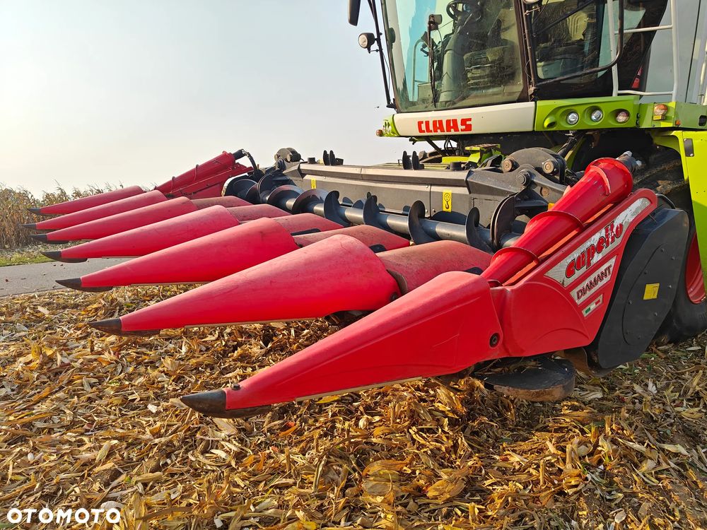 Capello Diamant HS6, 2012rok - 1