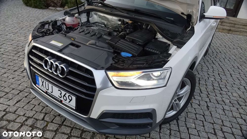 Audi Q3 - 19