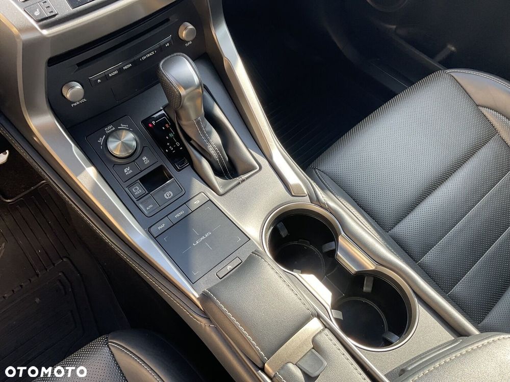 Lexus NX 300h F Sport Edition AWD - 31