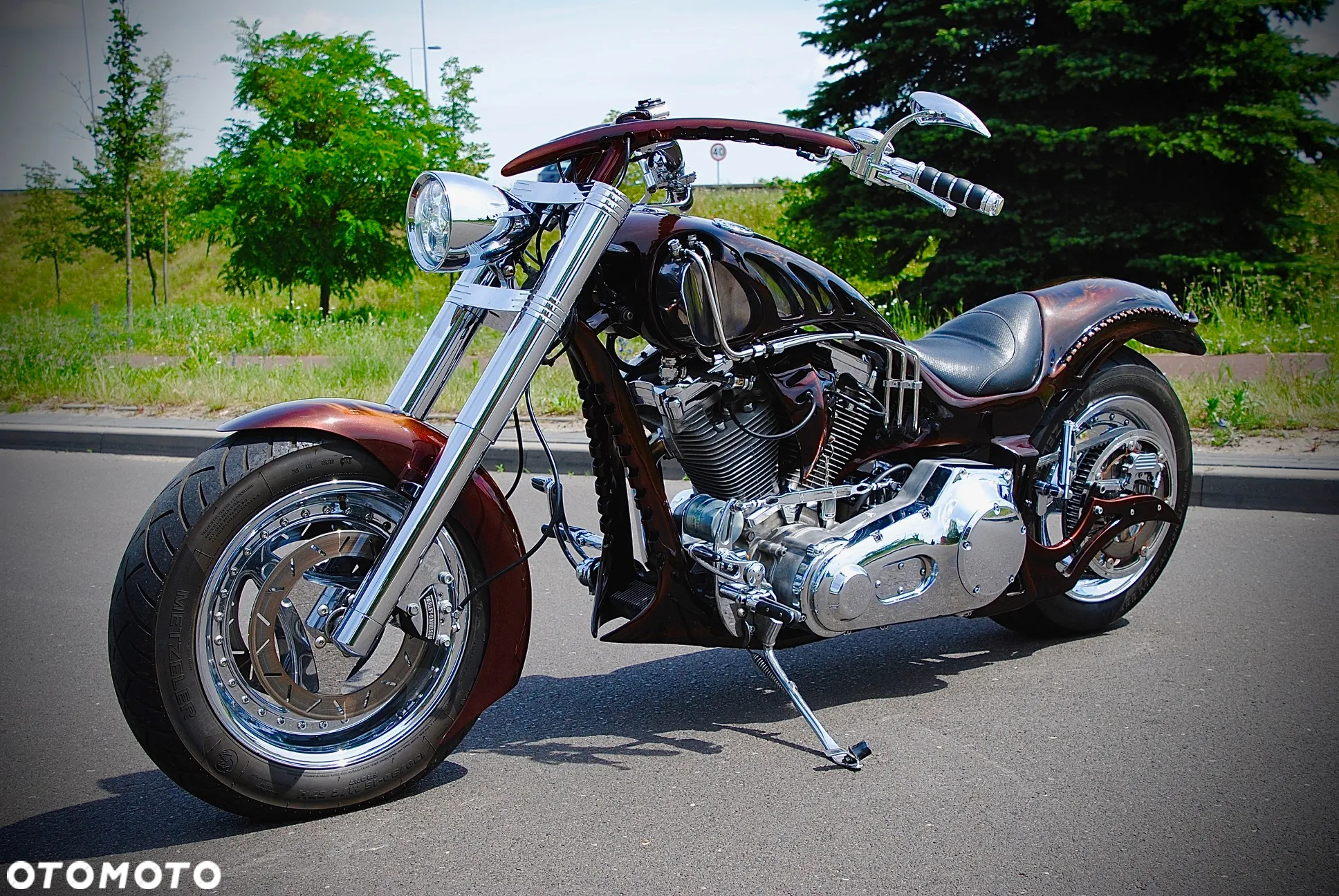 Harley-Davidson Softail Custom - 3