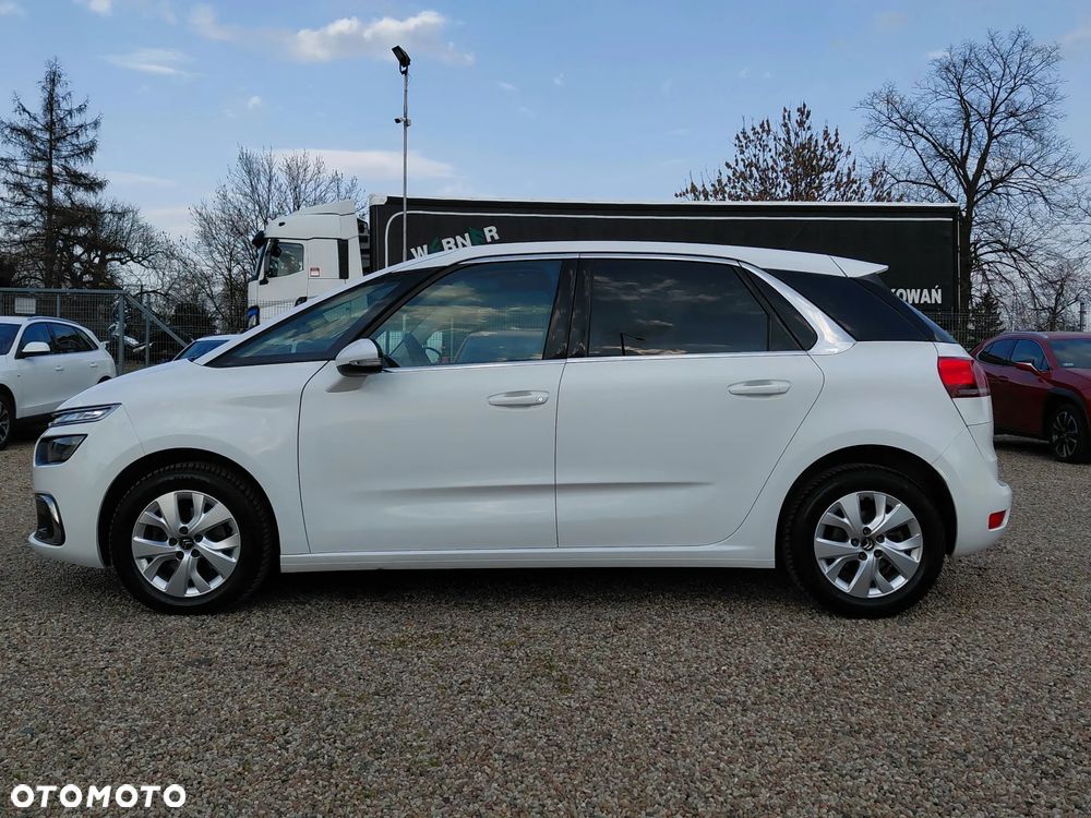 Citroën C4 SpaceTourer 1.5 BlueHDi Rip Curl S&S - 18