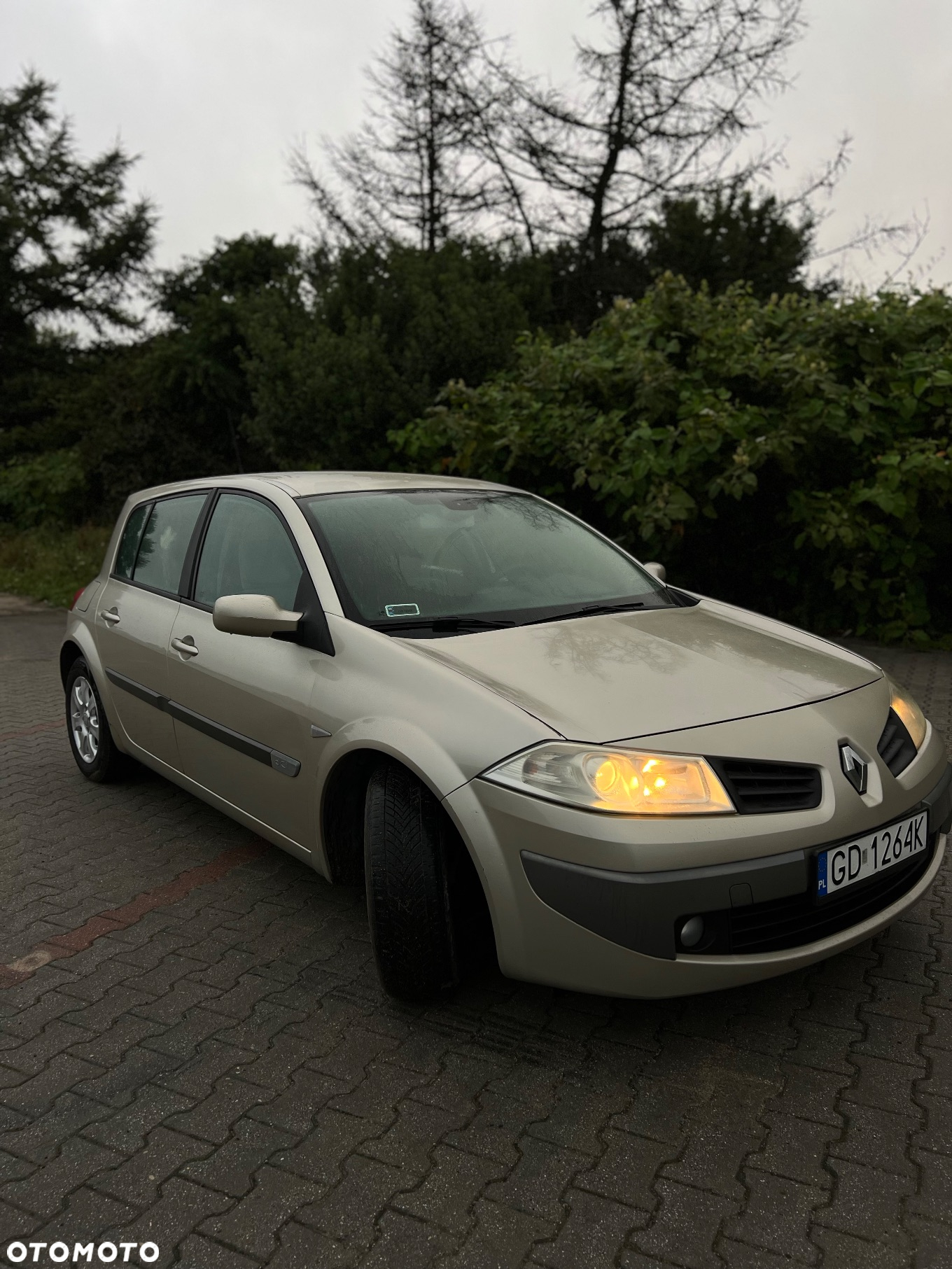 Renault Megane - 5