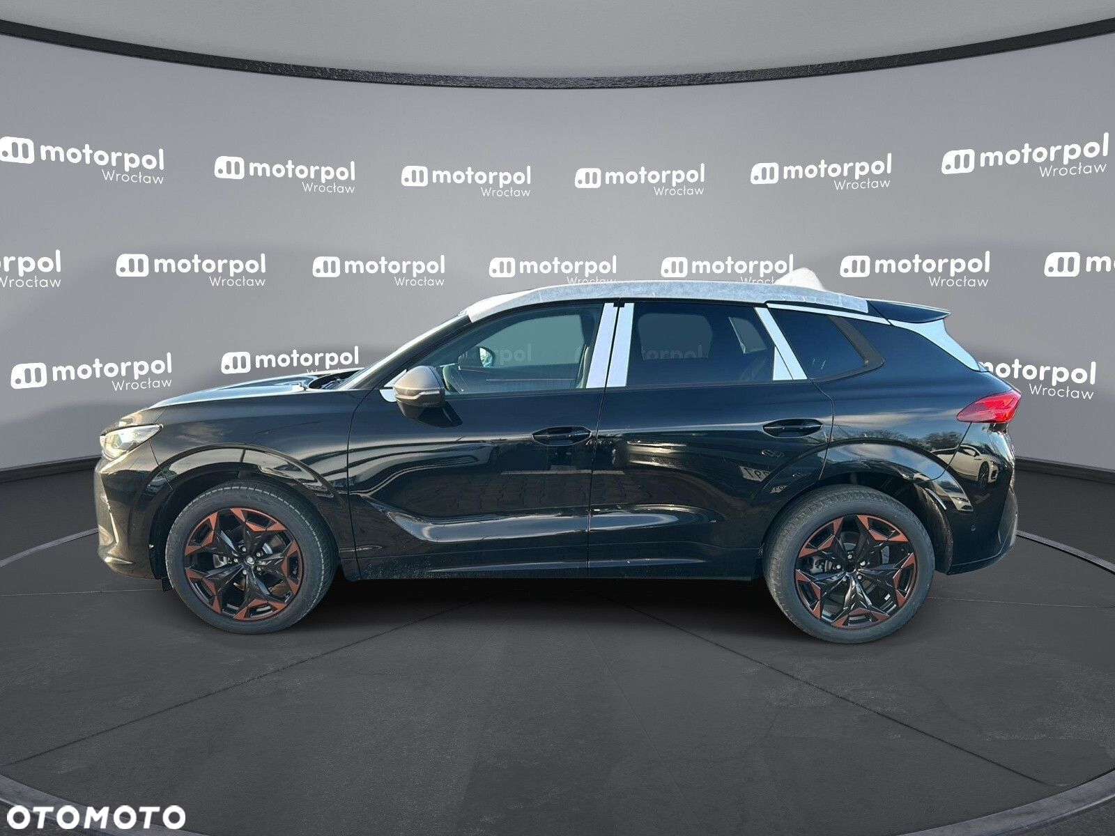 Cupra Terramar - 3