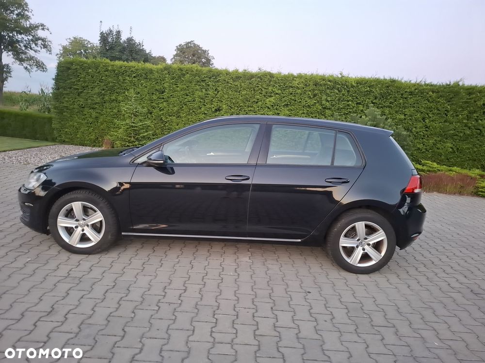 Volkswagen Golf - 16