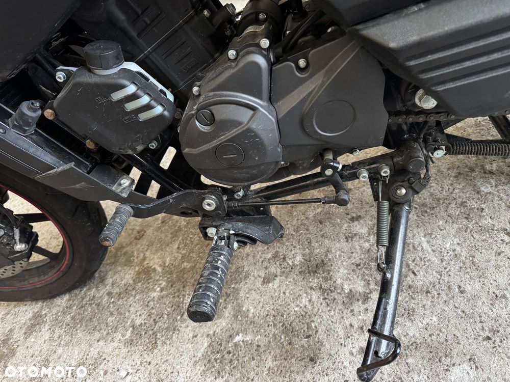 UM Renegade Vegas - 21