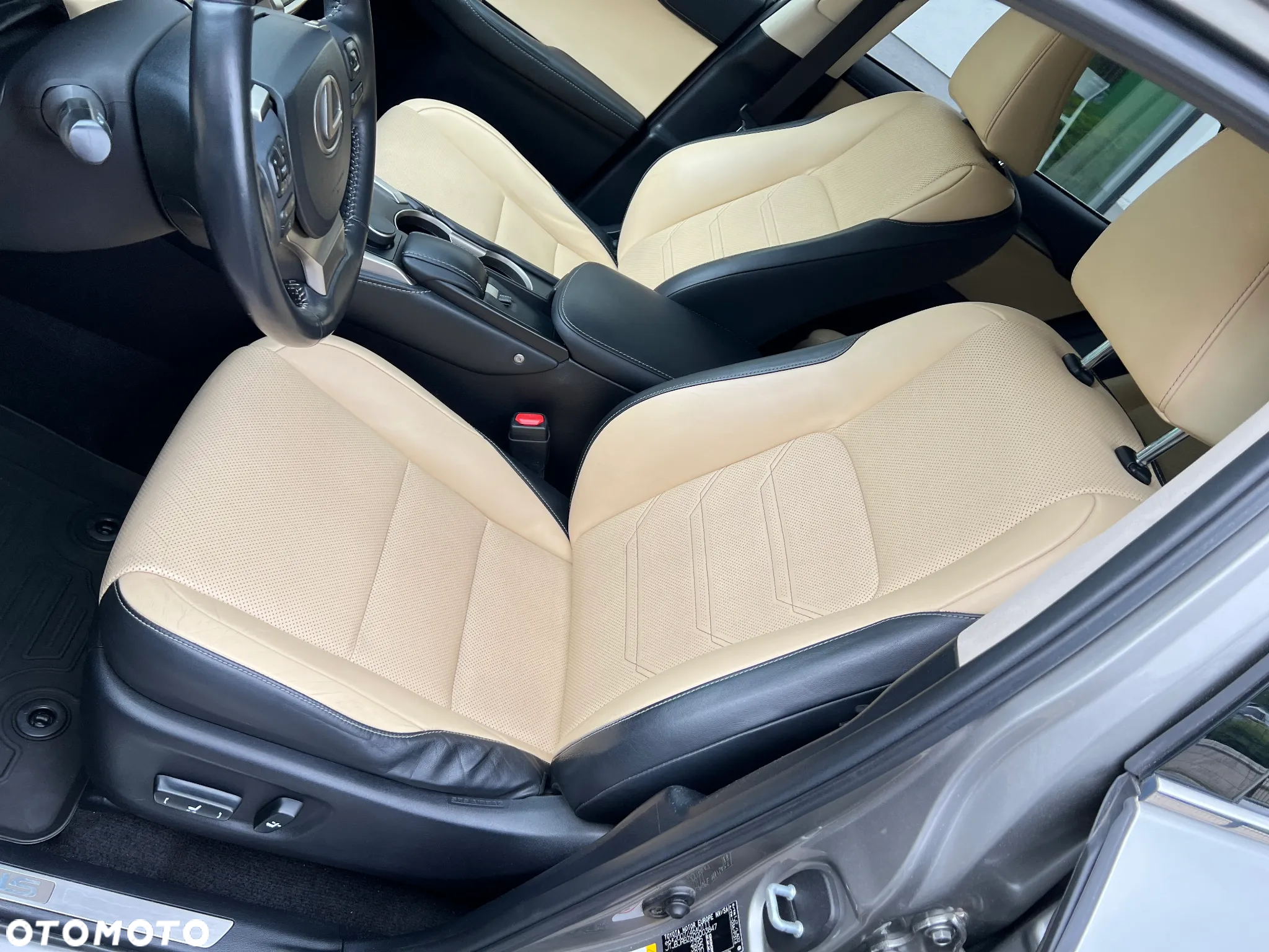 Lexus NX - 10
