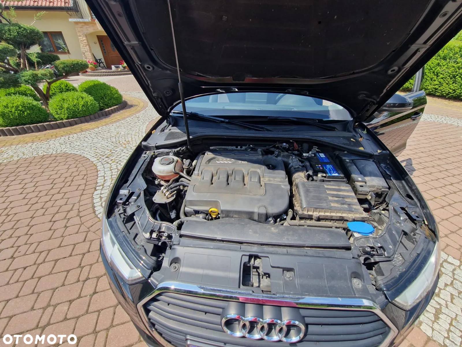 Audi A3 - 24