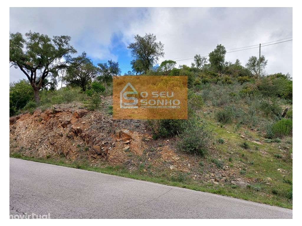 Terreno Rústico em Javali - Grande imagem: 5/9