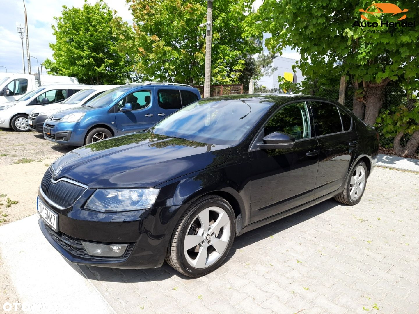 Skoda Octavia - 3