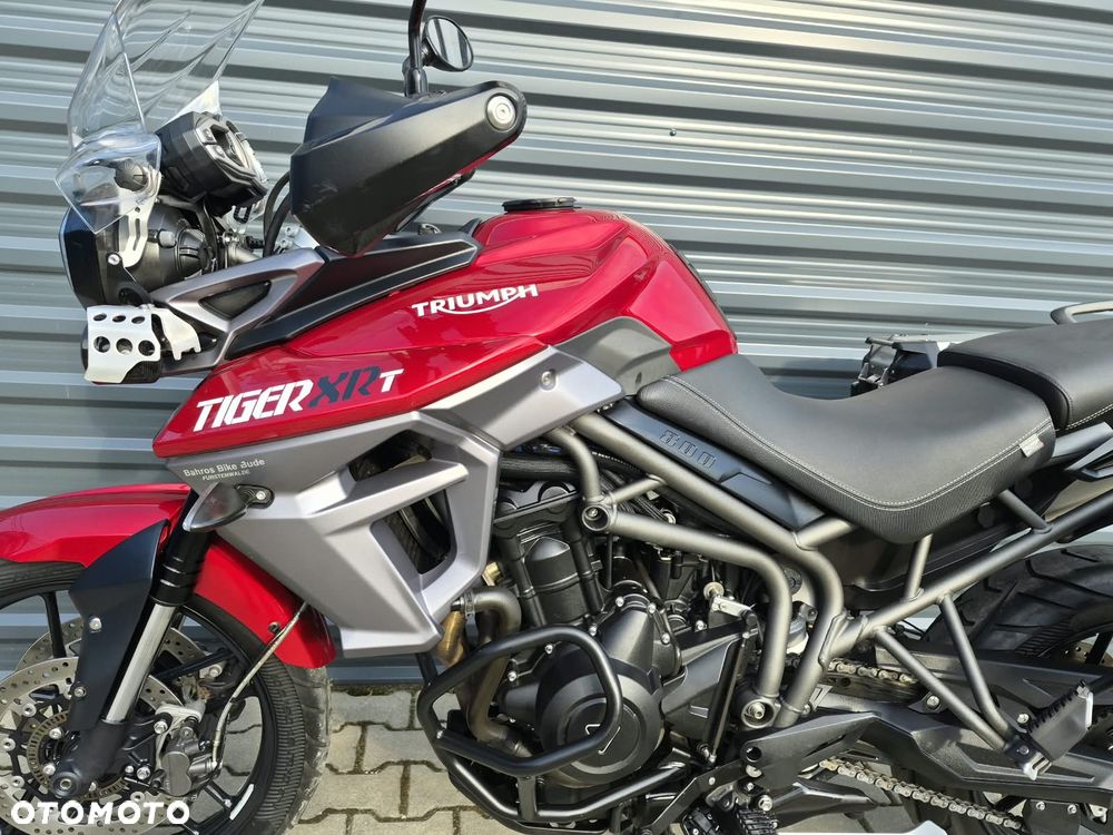 Triumph Tiger - 13