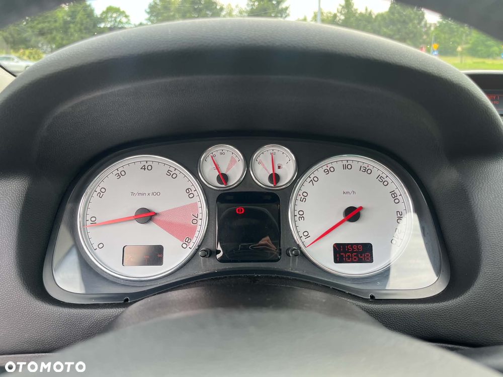 Peugeot 307 - 8
