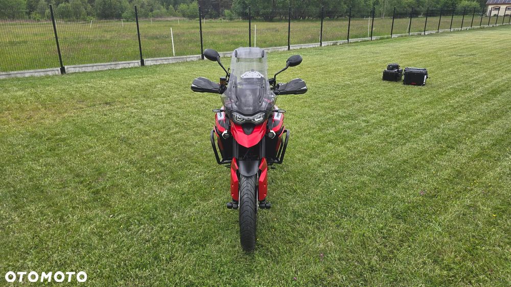 Triumph Tiger - 19