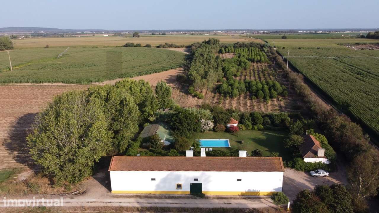 Quinta de 25 ha, moradia T5, piscina, investimento potencial turístico - Grande imagem: 4/40