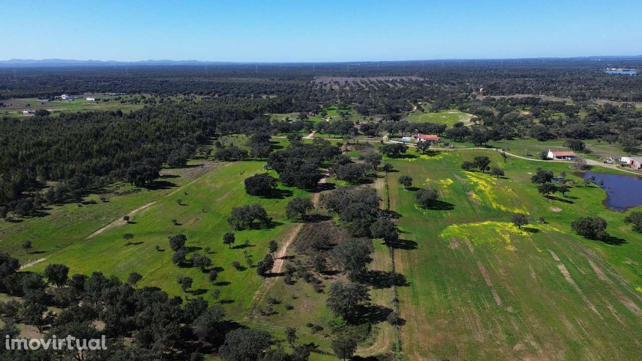 Terreno Rústico com 1,8 ha junto à Barragem de Fonte de Serne - Grande imagem: 4/13