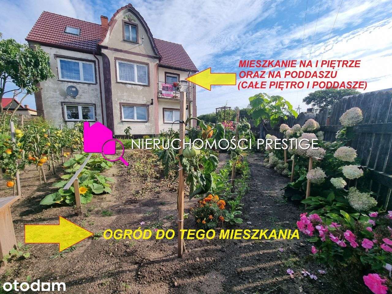 Łubowo, mieszkanie o pow. 115 m2 z dwoma ogrodami.