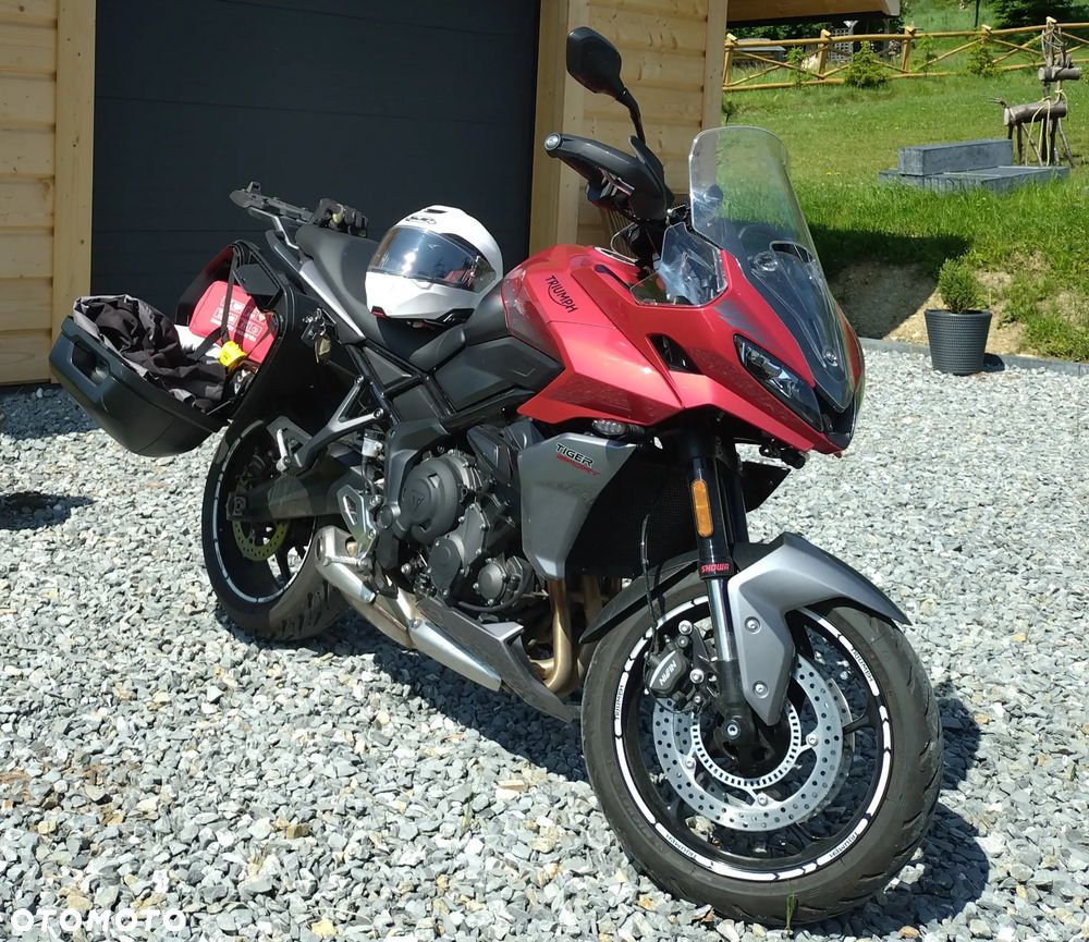 Triumph Tiger - 1