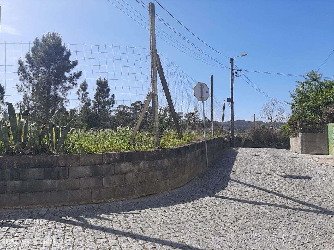Arrenda Terreno Apróx. 3.500m2 Termas São Vicente Penafiel - Grande imagem: 5/7