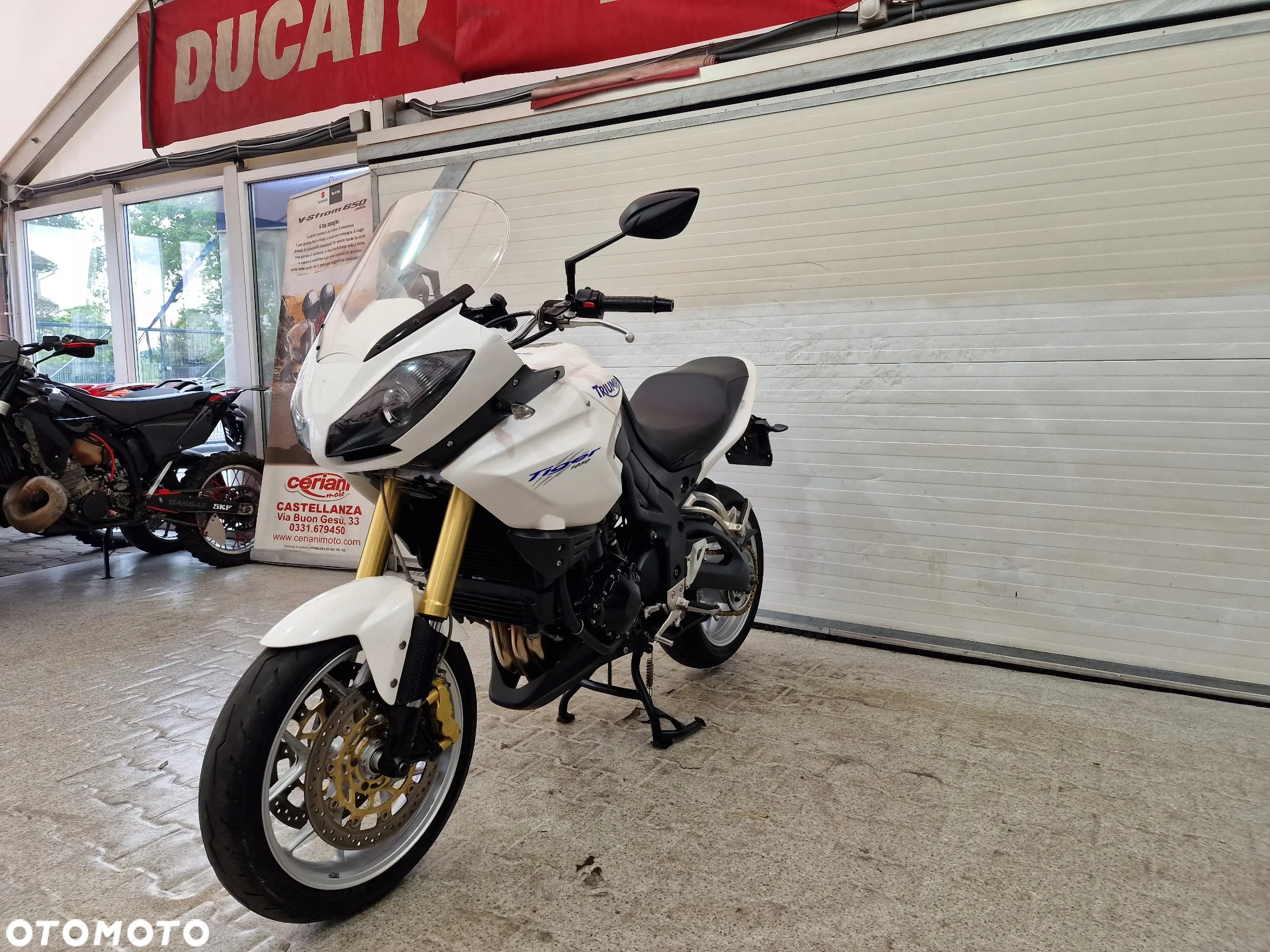 Triumph Tiger - 6