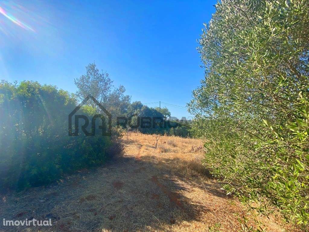 Terreno para construção de 10 moradias - Almancil - Grande imagem: 2/10