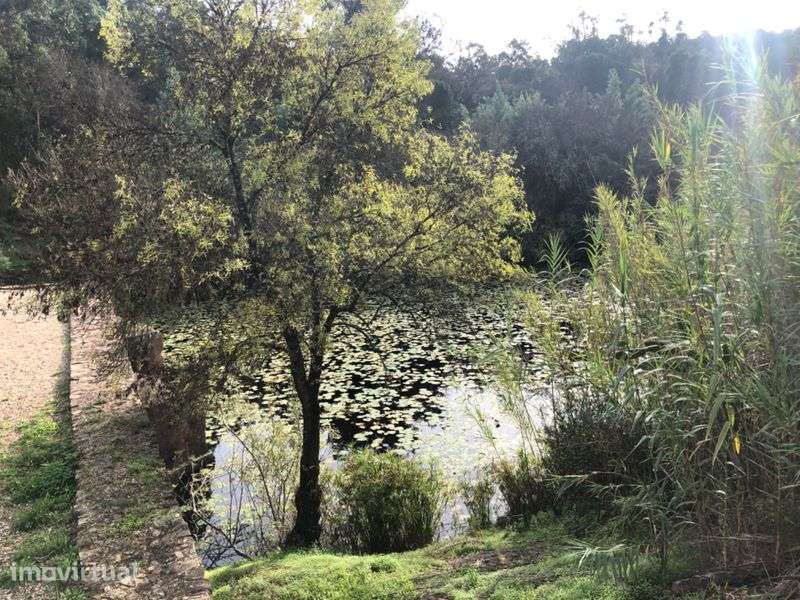 Terreno rural para amantes da natureza - Grande imagem: 4/7