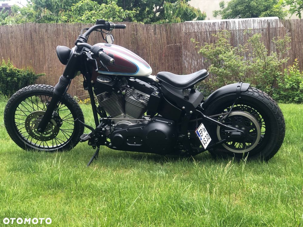 Harley-Davidson Softail - 3