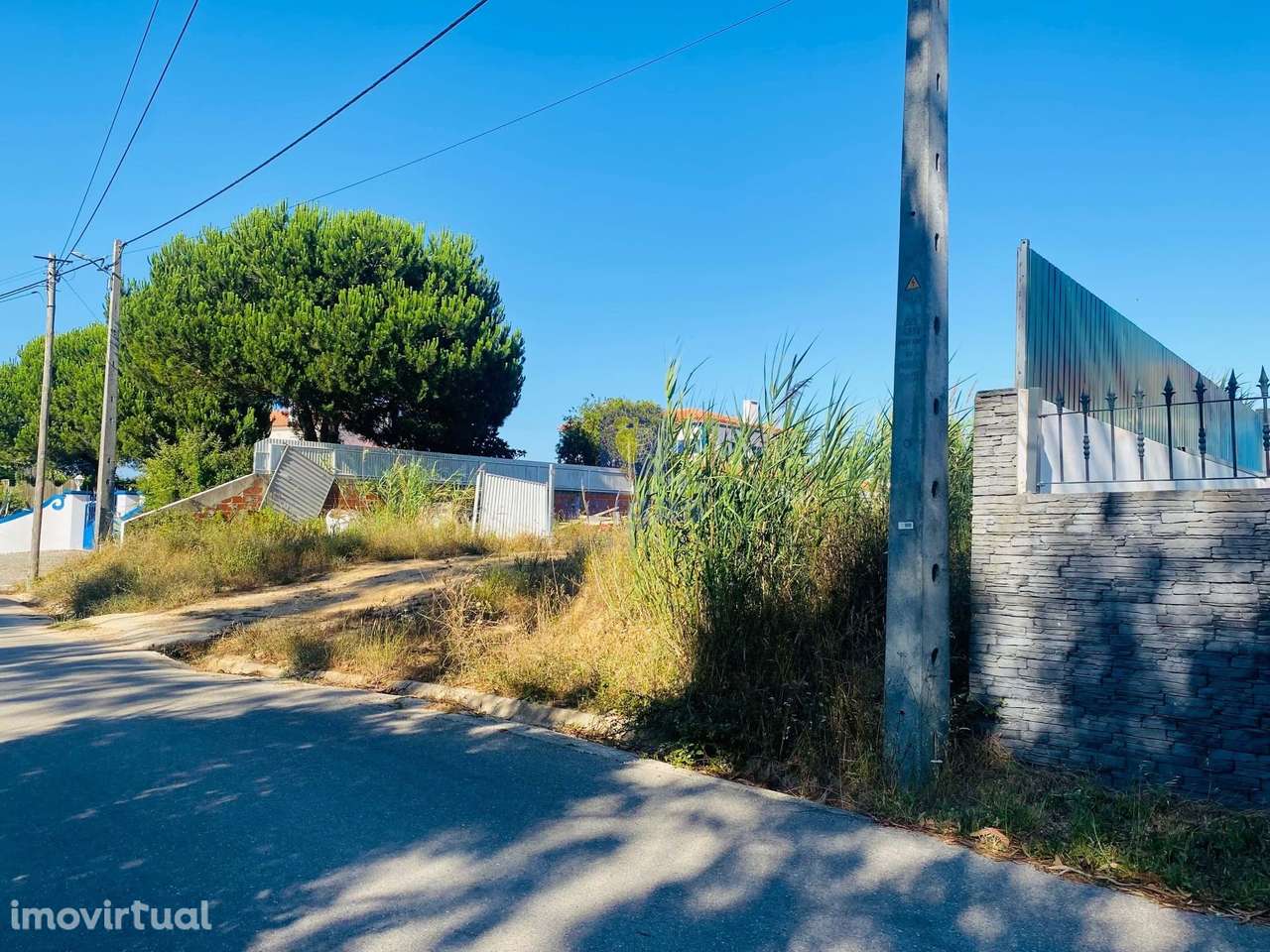 Terreno Urbanizável  em Tornada - 4 mil m2 a  2 kms de Caldas da Rainh - Grande imagem: 5/7