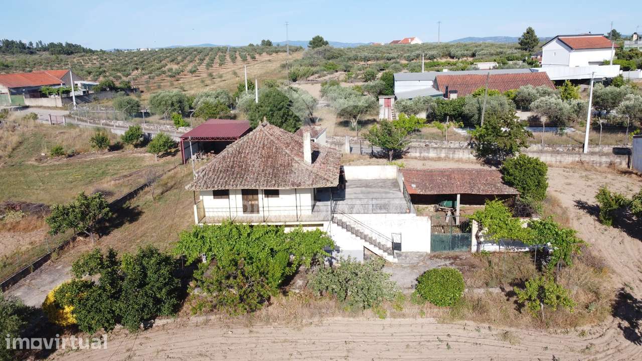 Moradia com terreno e olival à venda na Bouça – Mirandela - Grande imagem: 2/26